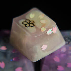 Hanami Hanami