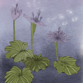 Pyreflowers